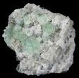 Sea Green Fluorite on Bed Of Quartz - China #32489-1